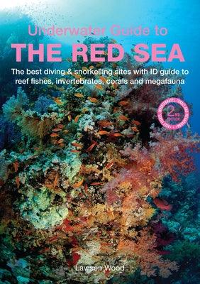 An Underwater Guide to the Red Sea - Paperback