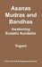 Asanas, Mudras and Bandhas - Awakening Ecstatic Kundalini - Paperback | Diverse Reads