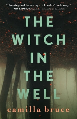 The Witch in the Well - Hardcover | Diverse Reads