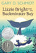 Lizzie Bright and the Buckminster Boy: A Newbery Honor Award Winner - Paperback | Diverse Reads