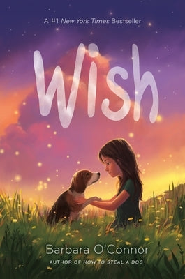 Wish - Hardcover | Diverse Reads