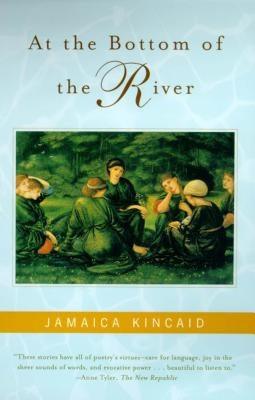 At the Bottom of the River - Paperback |  Diverse Reads