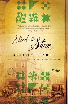 Stand the Storm - Paperback | Diverse Reads