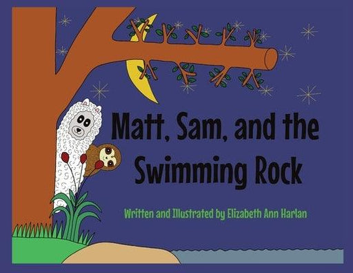 Matt, Sam, and the Swimming Rock - Paperback | Diverse Reads