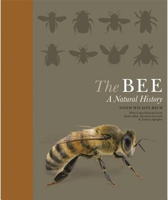 The Bee: A Natural History - Paperback | Diverse Reads