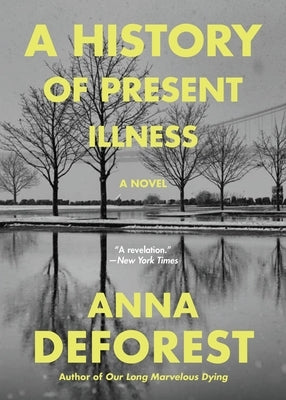 A History of Present Illness - Paperback | Diverse Reads