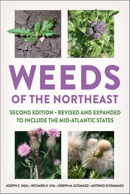 Weeds of the Northeast - Paperback | Diverse Reads