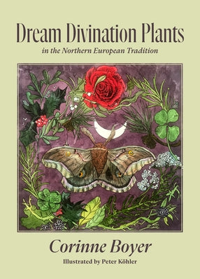 Dream Divination Plants: In Northwestern European Traditions - Paperback | Diverse Reads
