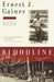 Bloodline: Five Stories - Paperback |  Diverse Reads