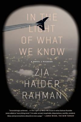In the Light of What We Know - Paperback | Diverse Reads