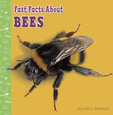Fast Facts About Bees - Paperback | Diverse Reads