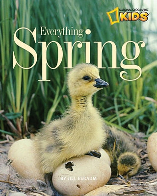 Everything Spring - Paperback | Diverse Reads