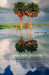 Paynes Prairie: The Great Savanna: A History and Guide - Paperback | Diverse Reads