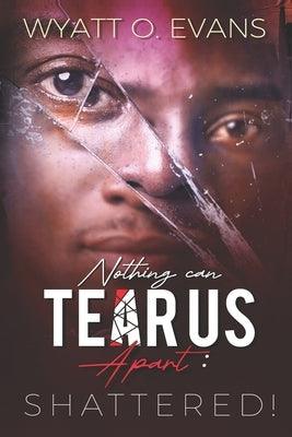 Nothing Can Tear Us Apart-SHATTERED! - Paperback | Diverse Reads