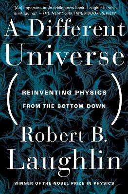 A Different Universe: Reinventing Physics From the Bottom Down - Paperback | Diverse Reads