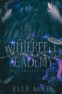 Winterfell Academy: A dark bully why choose - Paperback | Diverse Reads