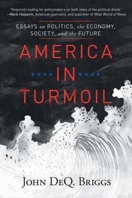 America in Turmoil: Essays on Politics, the Economy, Society, and the Future - Paperback | Diverse Reads