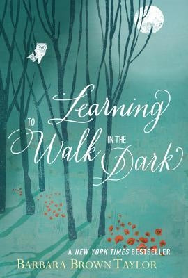 Learning to Walk in the Dark: Because Sometimes God Shows Up at Night - Paperback | Diverse Reads