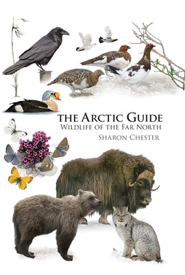 The Arctic Guide: Wildlife of the Far North - Paperback | Diverse Reads