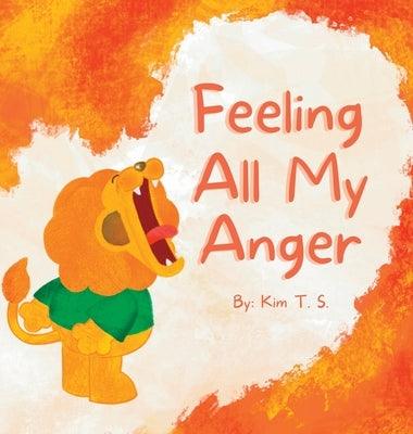 Feeling All My Anger - Hardcover | Diverse Reads