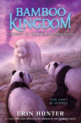 Bamboo Kingdom #3: Journey to the Dragon Mountain - Hardcover | Diverse Reads