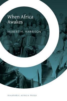 When Africa Awakes: The Inside Story of the Stirrings and Strivings of the New Negro in the Western World - Paperback | Diverse Reads