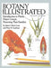 Botany Illustrated: Introduction to Plants, Major Groups, Flowering Plant Families / Edition 2 - Paperback | Diverse Reads