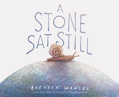 A Stone Sat Still - Hardcover | Diverse Reads