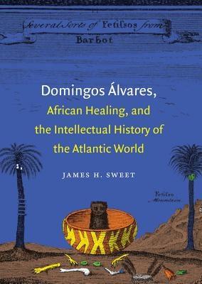 Domingos Álvares, African Healing, and the Intellectual History of the Atlantic World - Paperback | Diverse Reads