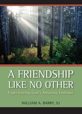 A Friendship Like No Other: Experiencing God's Amazing Embrace - Paperback | Diverse Reads