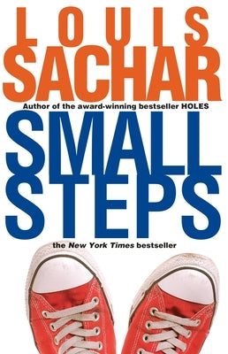 Small Steps - Paperback | Diverse Reads