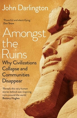 Amongst the Ruins: Why Civilizations Collapse and Communities Disappear - Hardcover | Diverse Reads