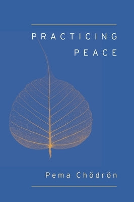 Practicing Peace (Shambhala Pocket Classic) - Paperback | Diverse Reads