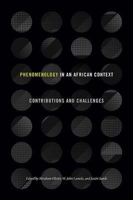 Phenomenology in an African Context: Contributions and Challenges - Hardcover | Diverse Reads