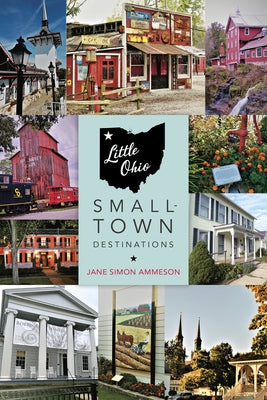 Little Ohio: Small-Town Destinations - Paperback | Diverse Reads