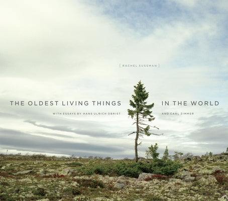 The Oldest Living Things in the World - Hardcover | Diverse Reads