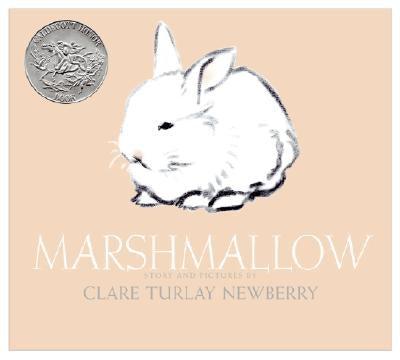 Marshmallow: An Easter and Springtime Book for Kids - Hardcover | Diverse Reads
