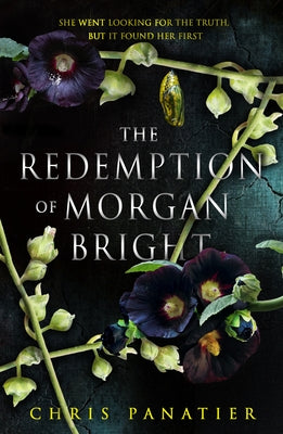 The Redemption of Morgan Bright - Paperback | Diverse Reads