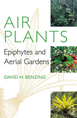 Air Plants: Epiphytes and Aerial Gardens - Hardcover | Diverse Reads