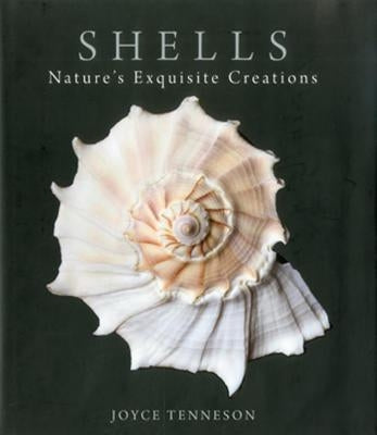 Shells: Nature's Exquisite Creations - Hardcover | Diverse Reads