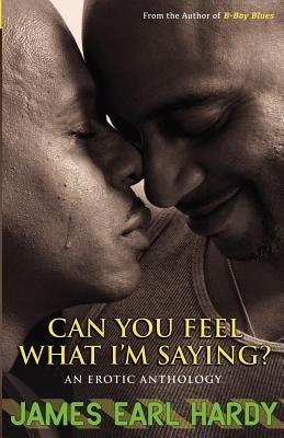 Can You Feel What I'm Saying?: An Erotic Anthology - Paperback |  Diverse Reads