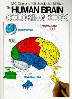 The Human Brain Coloring Book: A Coloring Book - Paperback | Diverse Reads