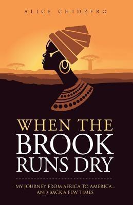 When the Brook Runs Dry: My Journey From Africa to America... and Back a Few Times - Paperback | Diverse Reads