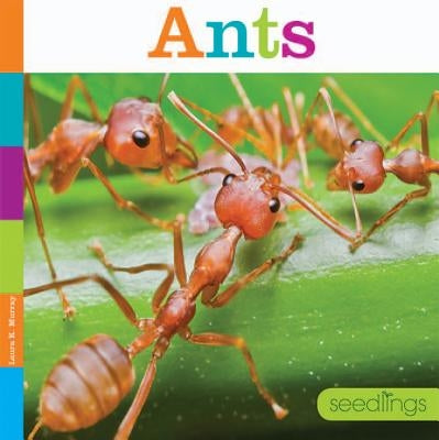 Ants - Paperback | Diverse Reads