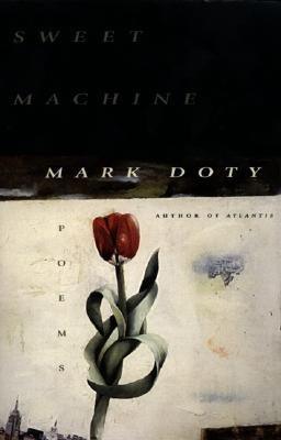 Sweet Machine - Paperback | Diverse Reads