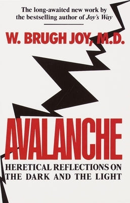 Avalanche: Heretical Reflections on the Dark and the Light - Paperback | Diverse Reads