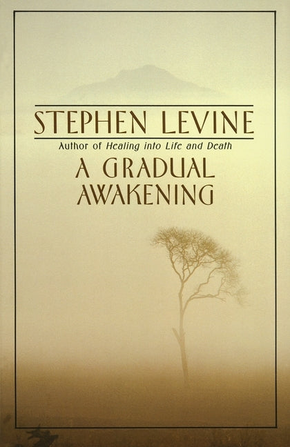 A Gradual Awakening - Paperback | Diverse Reads