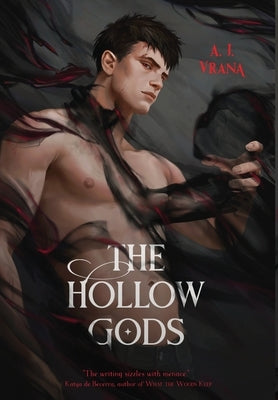 The Hollow Gods - Hardcover | Diverse Reads