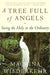 A Tree Full of Angels: Seeing the Holy in the Ordinary - Paperback | Diverse Reads
