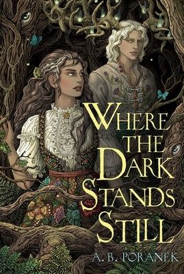 Where the Dark Stands Still - Hardcover | Diverse Reads